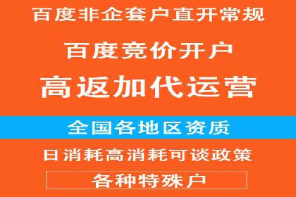 案例分析：百度推广优化，打造高效广告投放